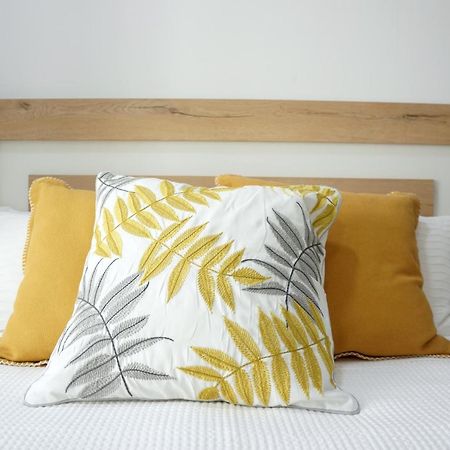 Barcelona Cozy Apartment 略夫雷加特河畔奥斯皮塔莱特 外观 照片